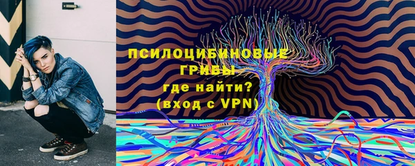 тгк Чекалин