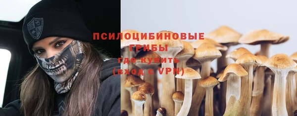 ПСИЛОЦИБИНОВЫЕ ГРИБЫ Чегем