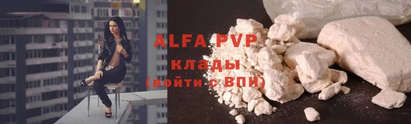 ПСИЛОЦИБИНОВЫЕ ГРИБЫ Чегем
