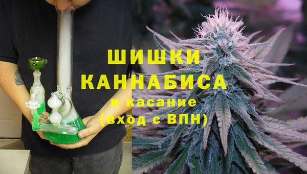крисы Абаза