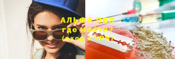 ПСИЛОЦИБИНОВЫЕ ГРИБЫ Чегем
