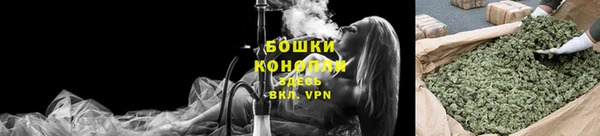 тгк Чекалин