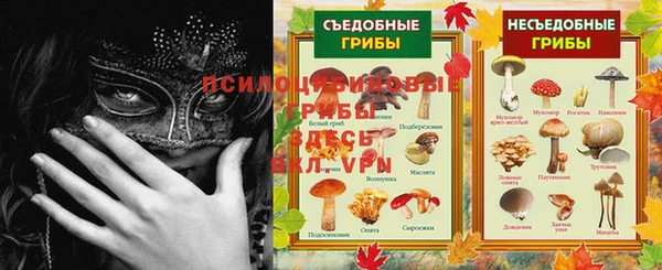 ПСИЛОЦИБИНОВЫЕ ГРИБЫ Чегем