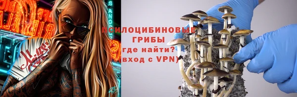 тгк Чекалин