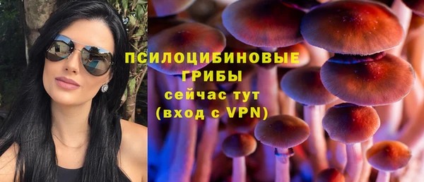MESCALINE Чердынь