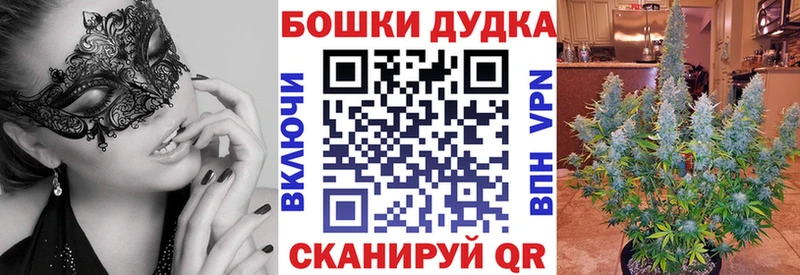 Каннабис план  цены наркотик  Рубцовск 